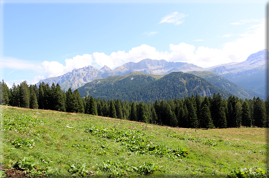 foto Malga Ritorto